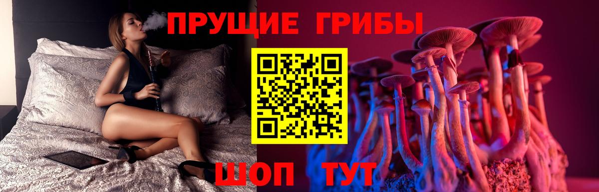 Псилоцибиновые грибы Magic Shrooms Лесозаводск